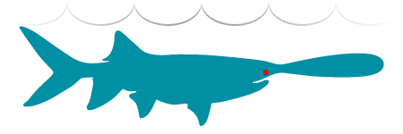 Paddlefish Icon