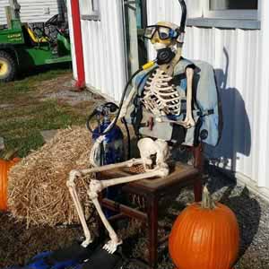 Meet Yorick, our jack-o-lantern specialist.
