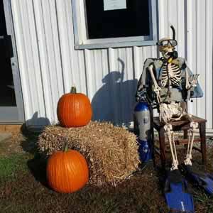 Meet Yorick, our jack-o-lantern specialist.
