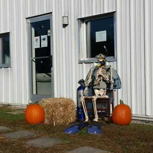 Meet Yorick, our jack-o-lantern specialist.
