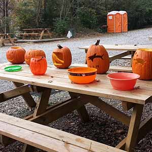 Cunningly crafted in the depths and dragged to land, the jack-o-lanterns are ready to be judged
