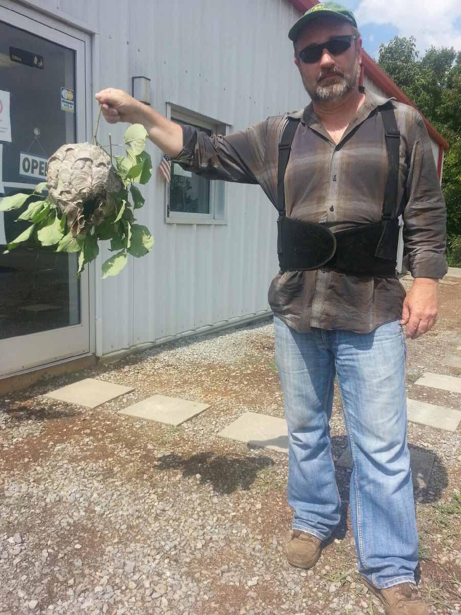 We grabbed our trusty wasp spray and ran straight toward... our fellow diver Darrell Haynes, who bravely and professionally took care of the terrifying pain piñata for us.